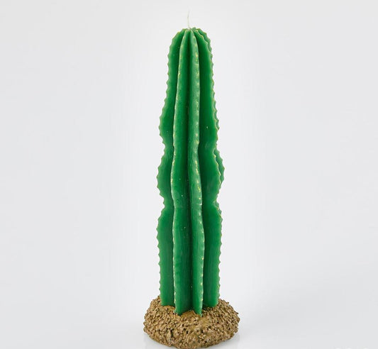 Cactus Candle