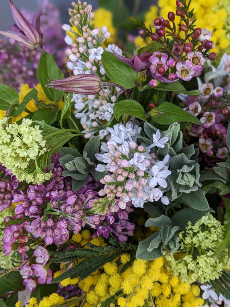 Happiness